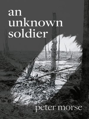 cover image of an unknown soldier